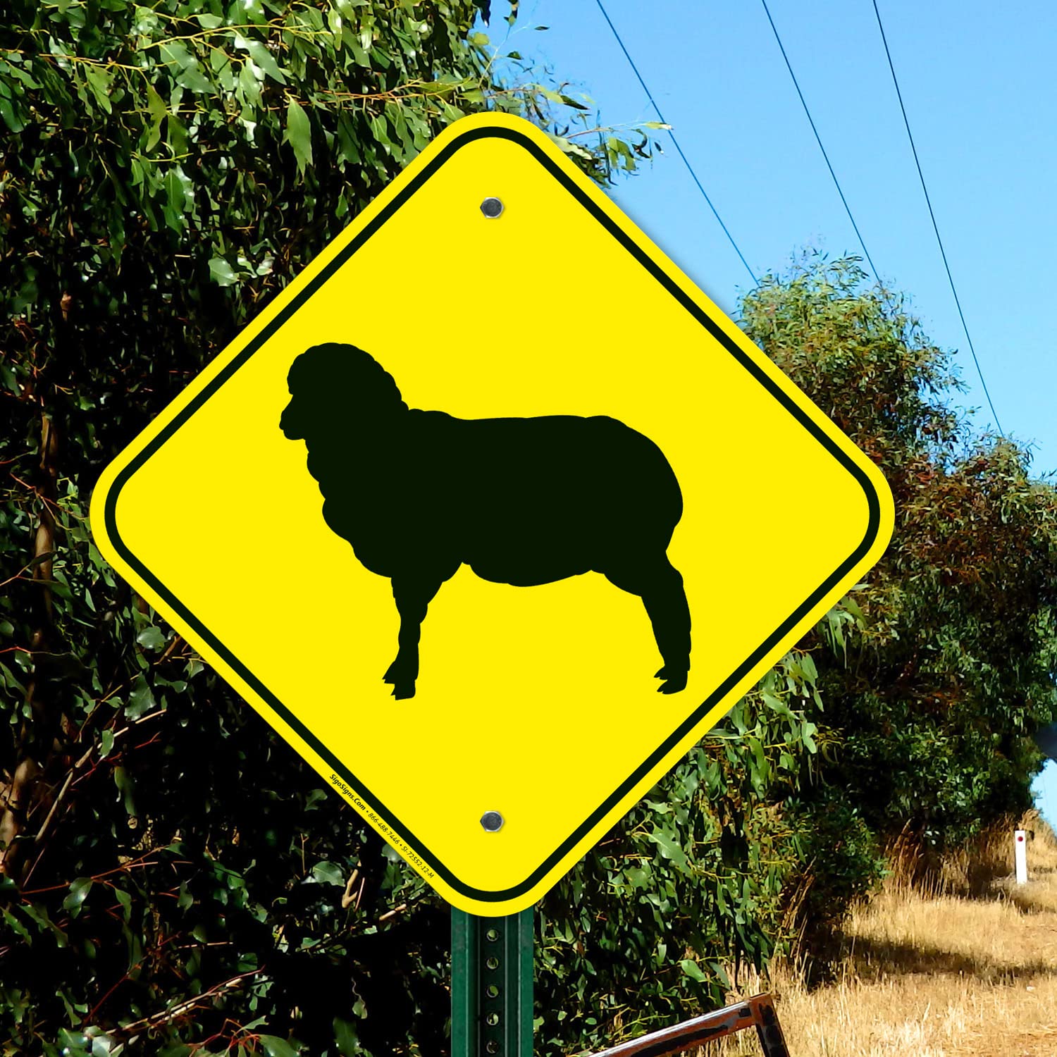 Amazon.com: Sheep Crossing Sign, 12x12 Inches, Rust Free .040
