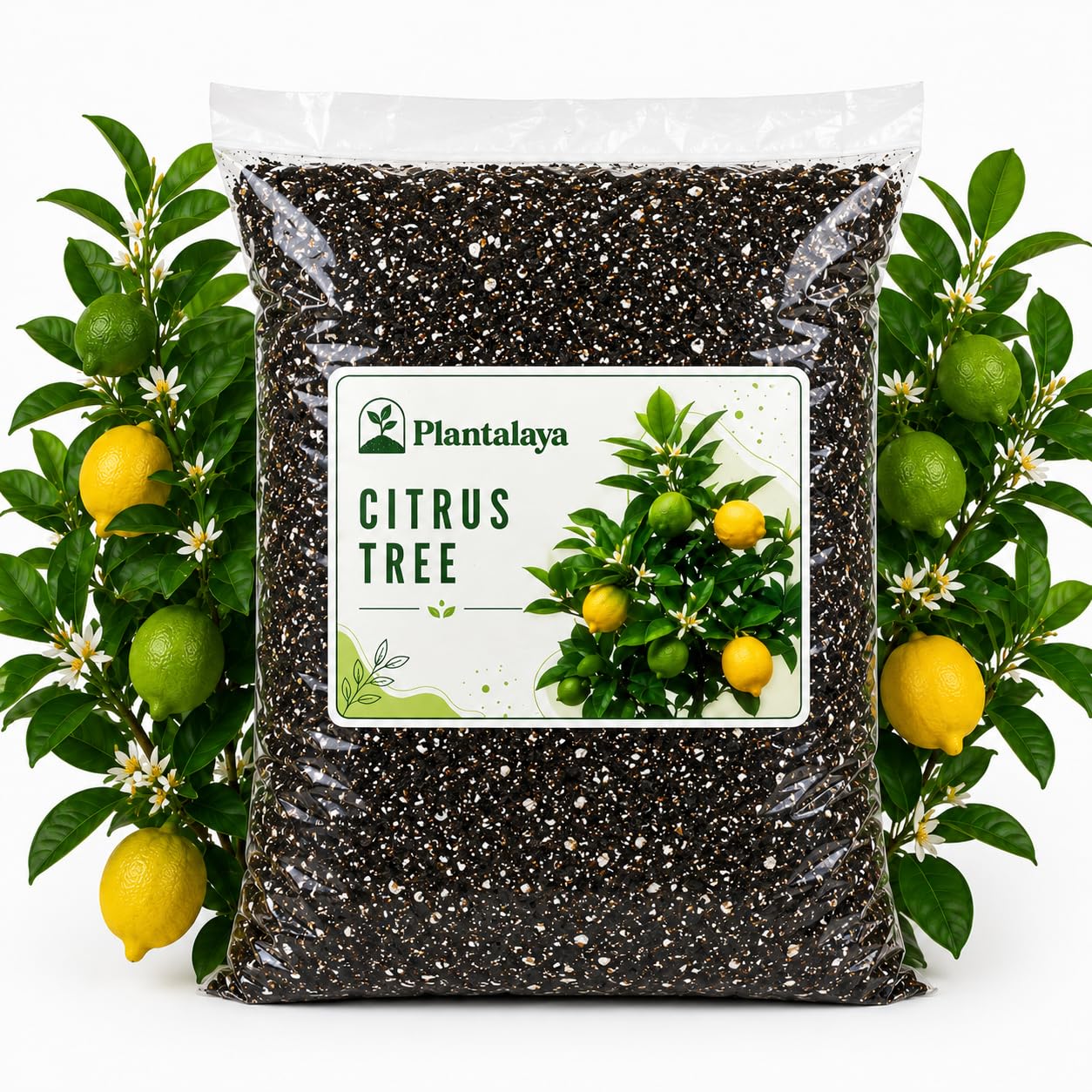 Citrus Tree Potting Mix Soil – Free Draining Nutrient Rich Growing Medium for Lemon, Lime, Orange & Mandarin Trees – Ideal for Indoor & Outdoor Citrus Plants (1 Litre)