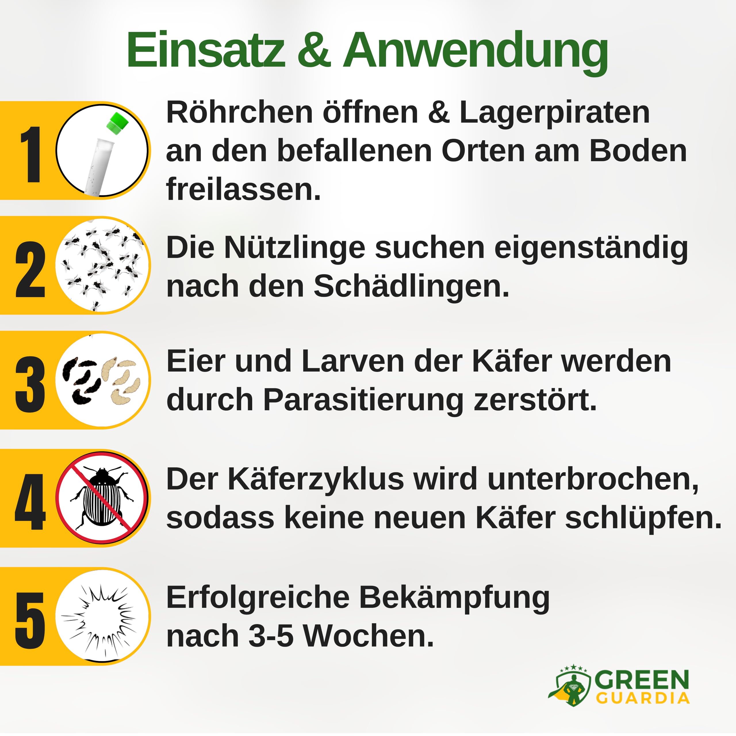 GREEN GUARDIA Lagerpiraci przeciwko bekonowi - 3 tubki po 30 pożytecznych owadów - skutecznie zwalczają chrząszcze, futrzaki i inne inne inne rodzaje owadów. Alternatywa dla pułapki na bekon i pułapka