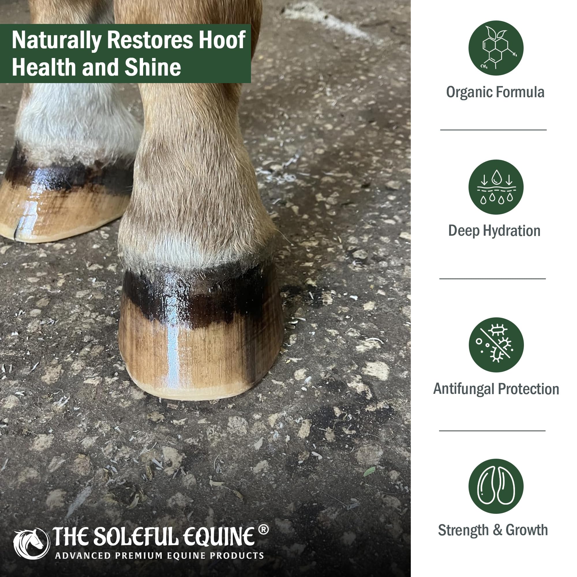 The Soleful Equine Hoof Oil, Horse Hoof White Line, Thrush, Abscesses, Overall Hoof Strength, Growth, Hoof Conditioning Rehydration. Certified Organic - Professionally Designed and Developed - image 5