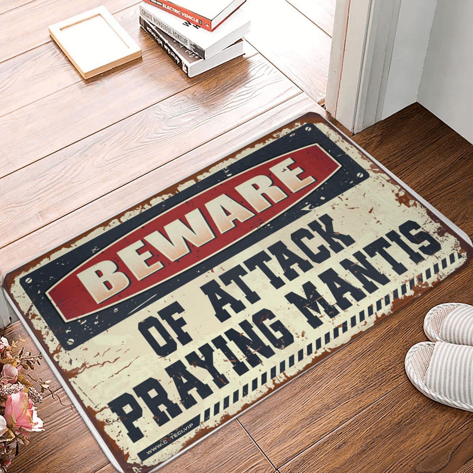Tapis d'intérieur de bienvenue et paillasson météo maison uni 65 x 90 cm