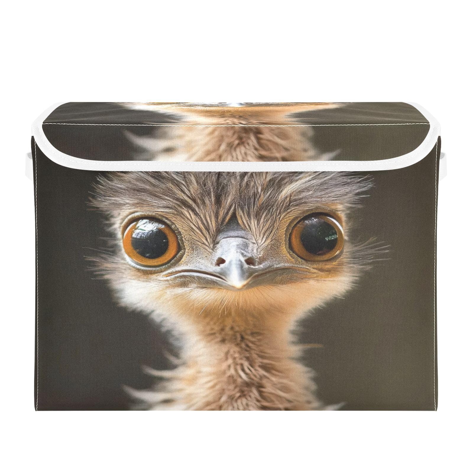 Grckit A Storage Bins With Lids, Ostrich Pattern Foldable Storage Cube Boxes Fabric Storage Organizer Basket For Home, Bedroom, Office, Closet (16.5X12.6x11.8 In)