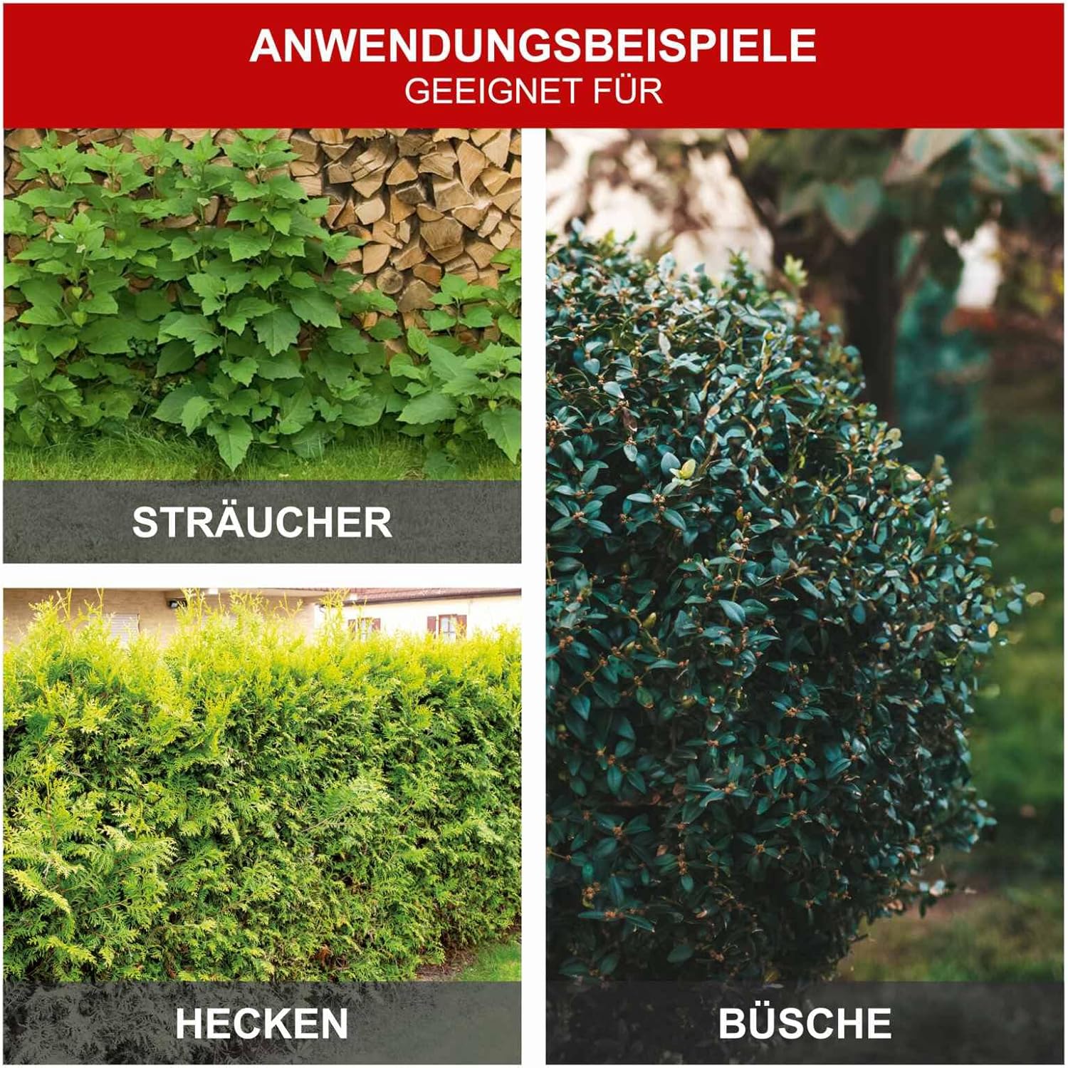 د غوښتنلیک مثالamples for Scheppach EHT610: Shrubs, Hedges, Bushes