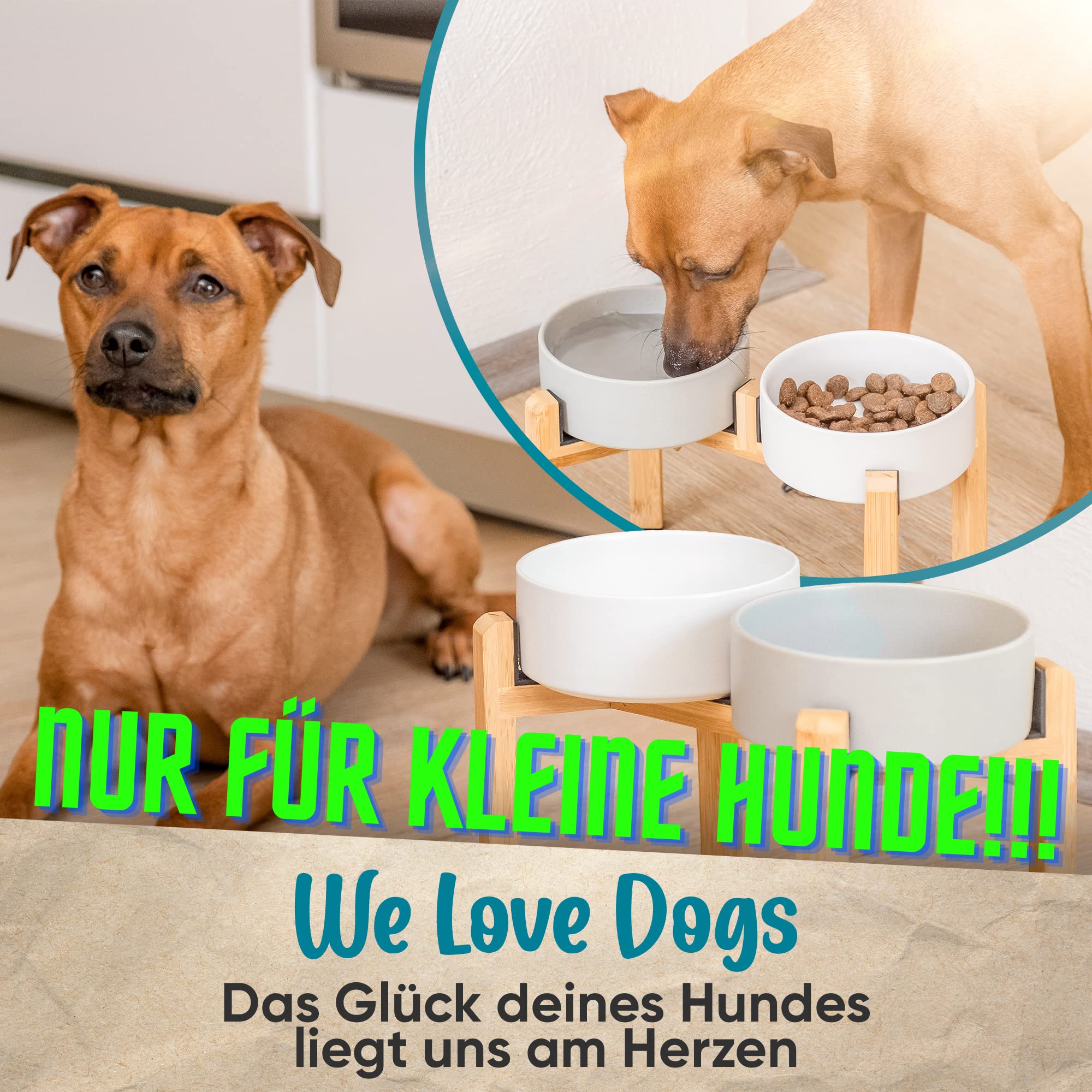 bunte hundeleine Leichte bunte Hundeleine mit Edelstahlkarabiner – sweet-and-isi.ch main image 1