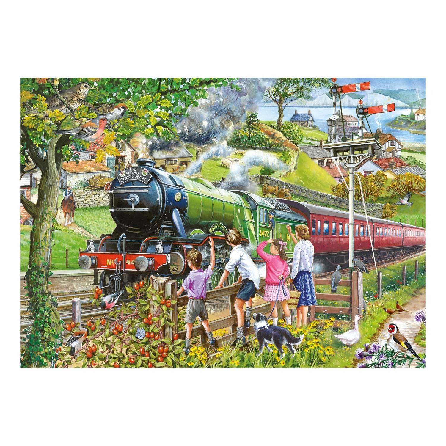 The House of Puzzles Full Steam Ahead Jigsaw, Big 500 Piece Jigsaws for Adults Extra Large Pieces, Artist Illustrated