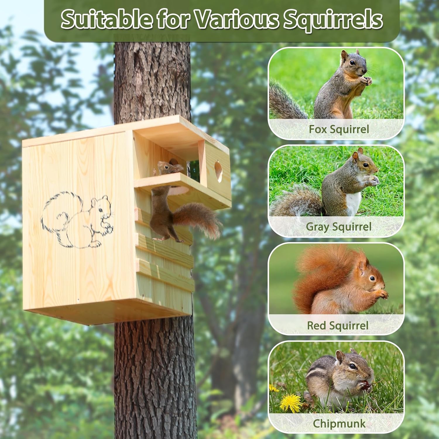 Widened Squirrel House for Outside, 11" W Squirrel Nesting Box with External Platform, Extra Large Squirrel Box for Spring, Easy to Assemble