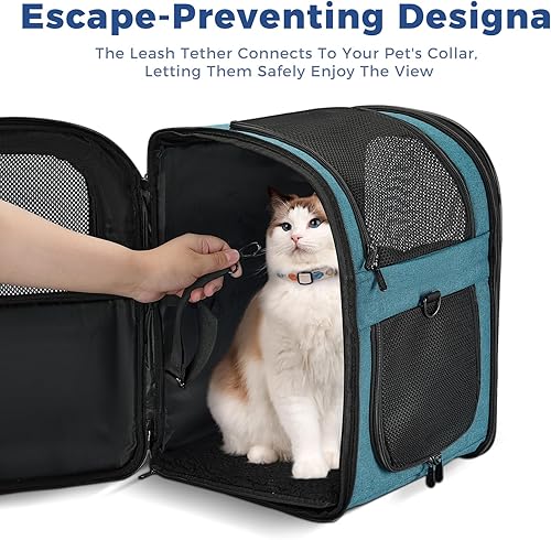 Miniatura 3 de Apollo Walker Mochila transportadora para perros y gatos para mascotas de 4 a 18 libras, diseño seguro ventilado con soporte acolchado en la