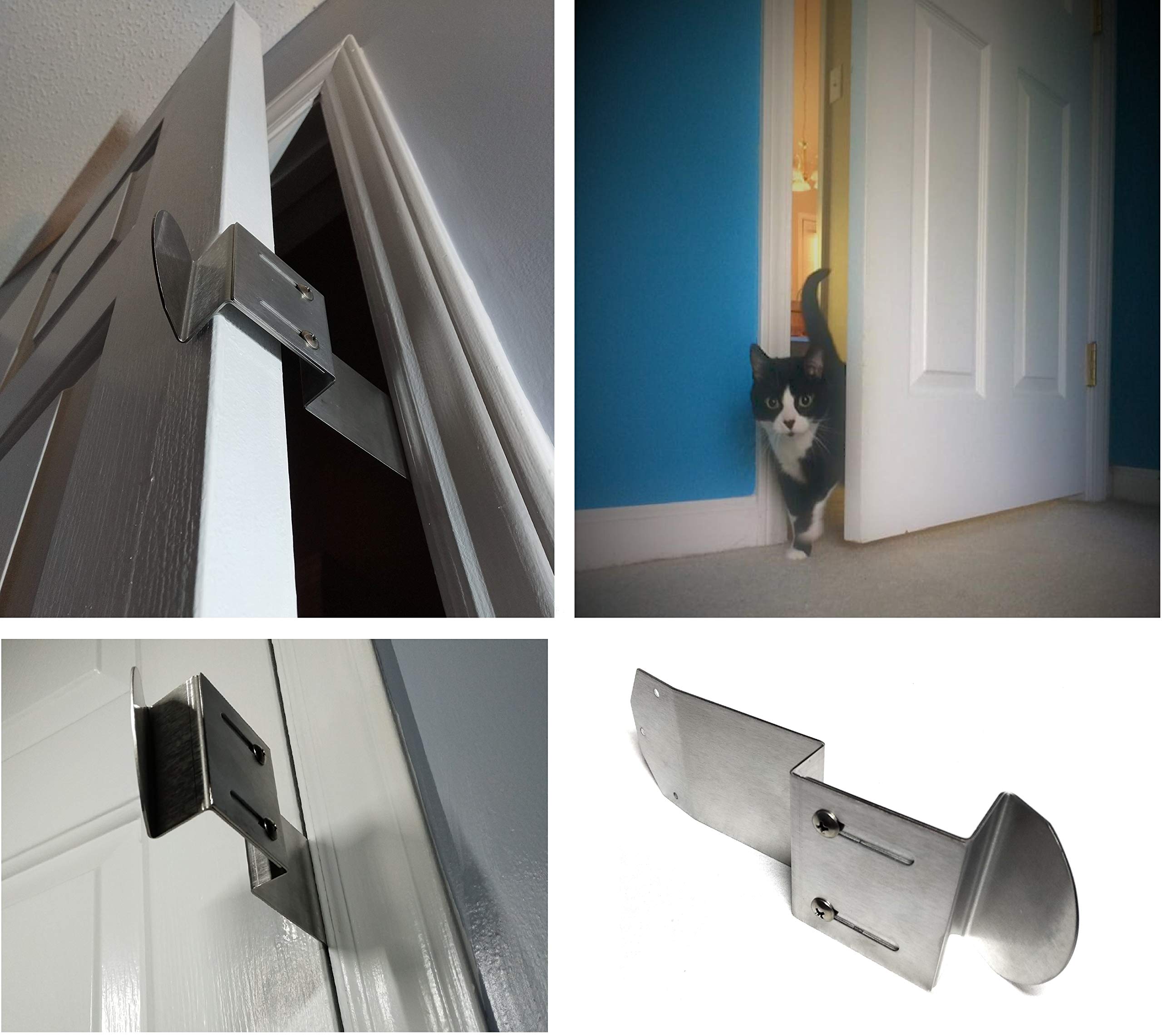 dog proof cat door