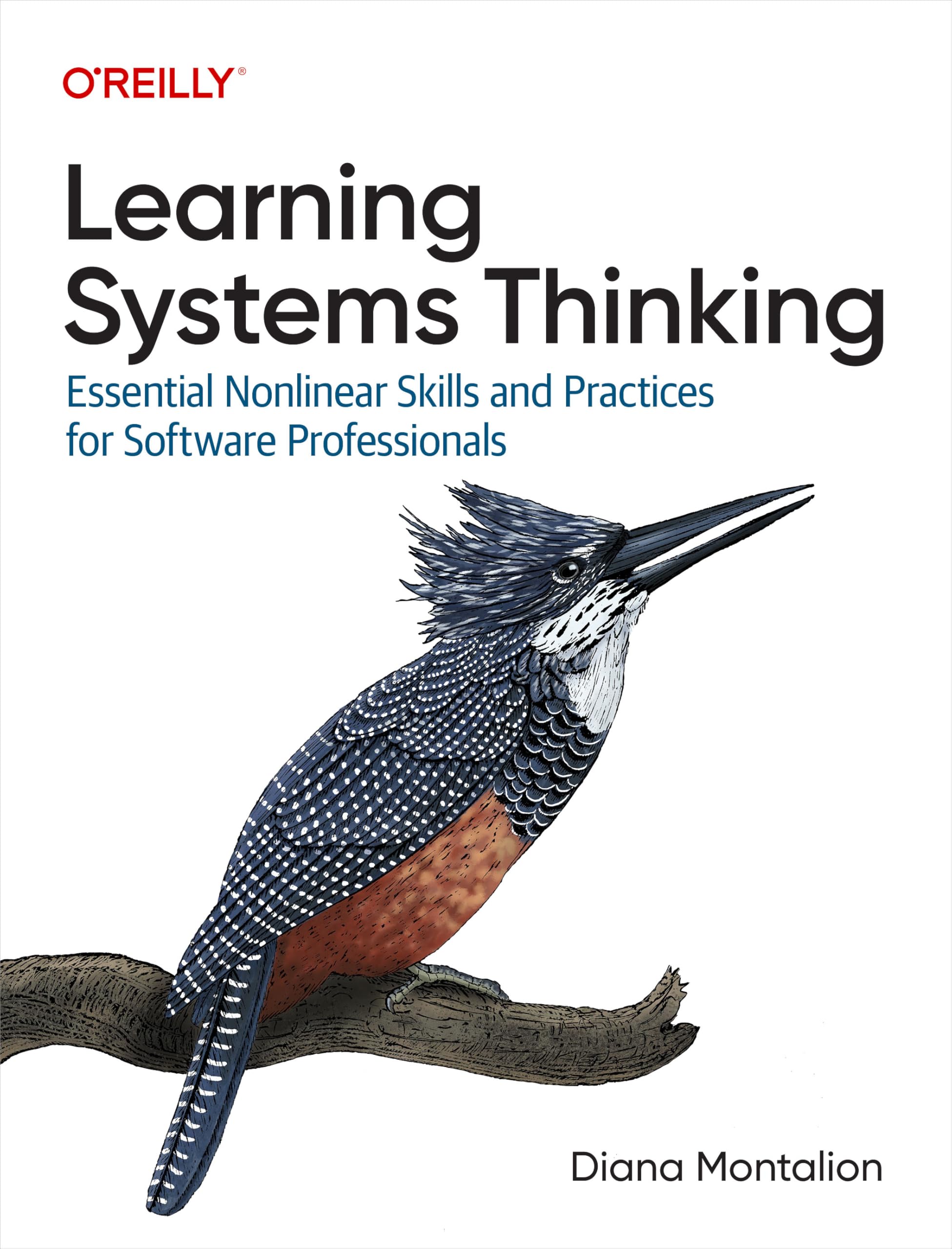 Learning Systems Thinking: Essential Nonlinear Skills and Practices for Software Professionals (English Edition)