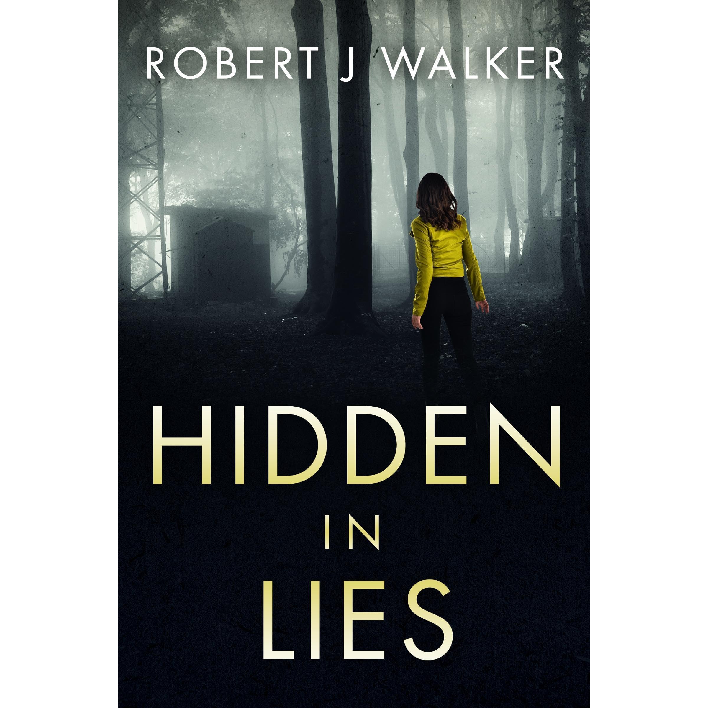 Hidden in Lies: A Small Town Riveting Kidnapping Mystery Thriller