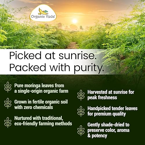Miniatura 8 de Organic Veda Hojas de Té de Moringa - Verdaderos Antioxidantes Verdes Ricos, Té de Hojas Sueltas de Moringa Oleifera 100% Orgánico de Origen Único