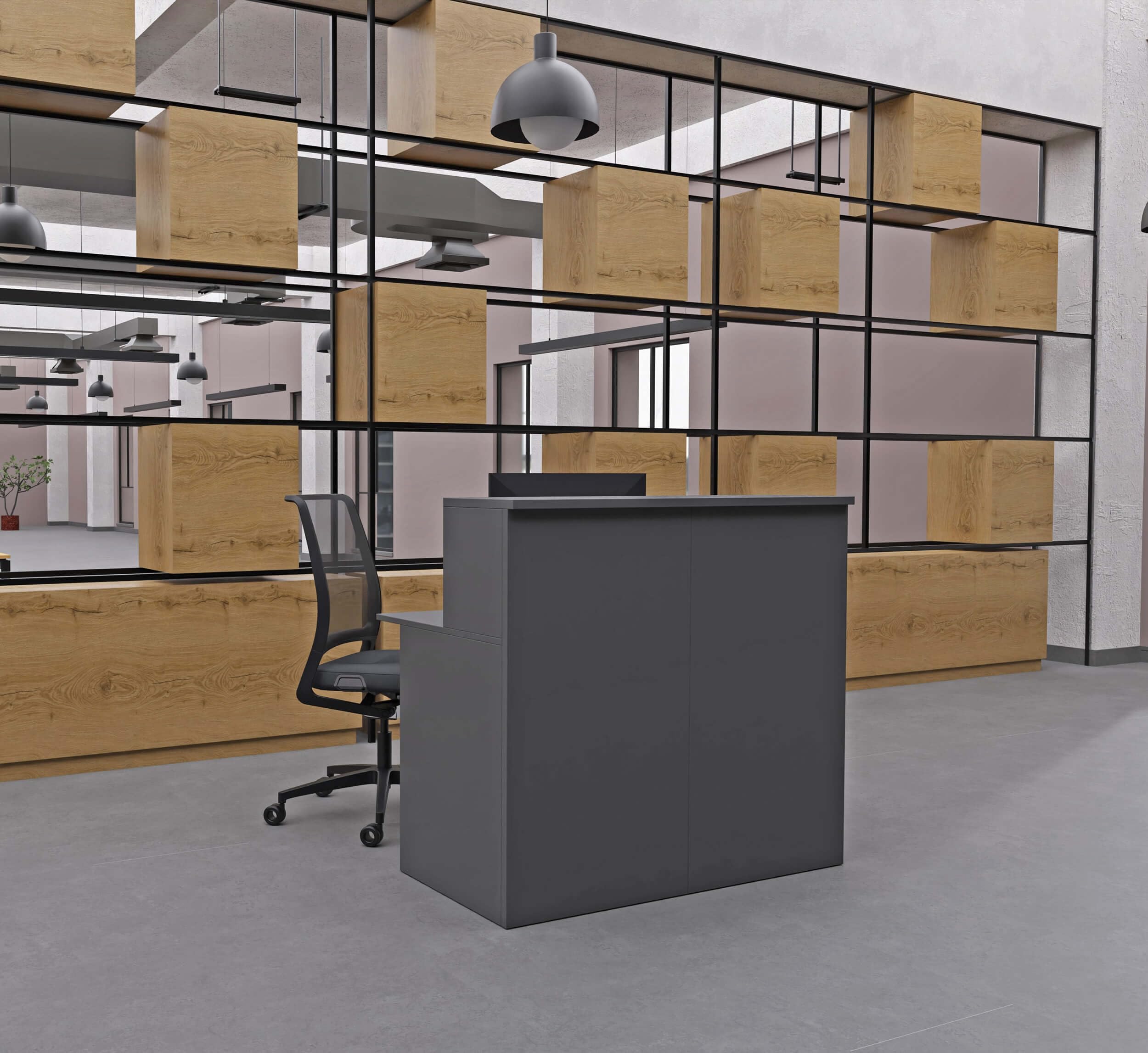 EIGENTLICH Empfangstheke modular moderne Rezeptionstheke Empfangstresen Hotellobby Empfangsbereich Bürotheke Praxistheke mit großer Arbeitsfläche Farbe anthrazit 120x75x110,5cm