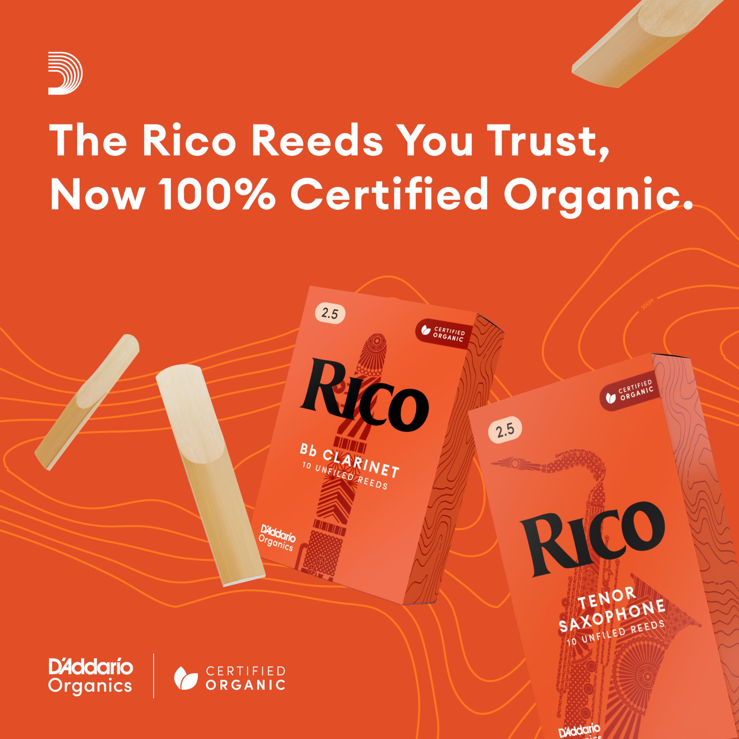 Amazon | D'Addario WoodWinds ダダリオ リード Bbクラリネット用 RICO
