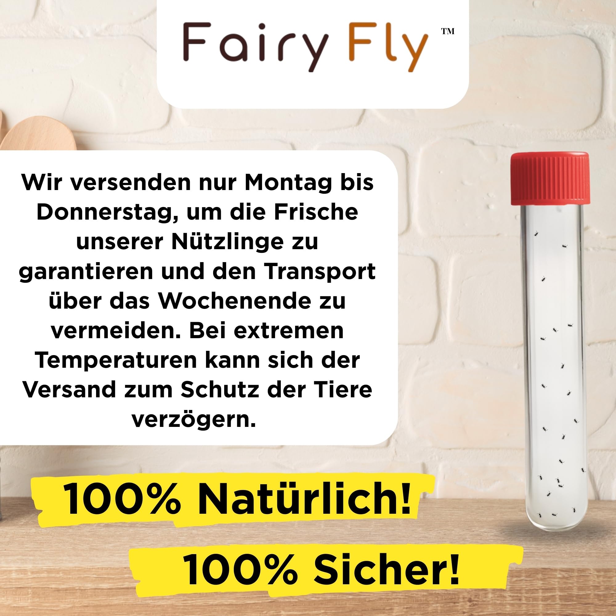 Lagererzwespen gegen Brotkäfer, Kornkäfer & Messingkäfer – 1 Röhrchen à 40 Nützlinge – Biologische Alternative zur Brotkäfer Falle – 100% chemiefrei – Made in Germany