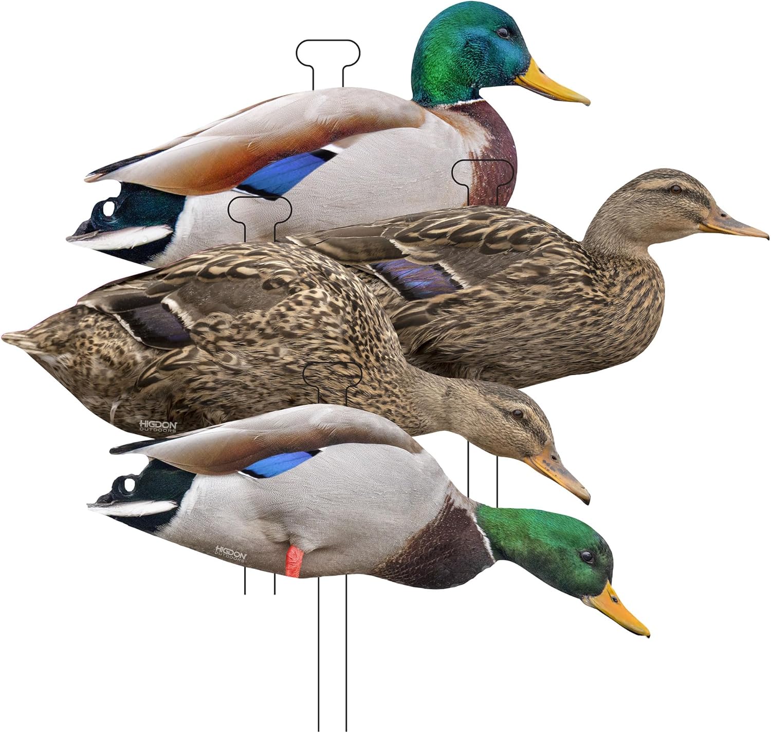 Higdon Outdoors Flats | Mallard Duck Silhouette Decoys for Waterfowl Hunting | Weather Resistant Drake & Hen Decoys with Easy Carry Stakes | Standard, Motion, or Fully Flocked Motion | 12 Pack