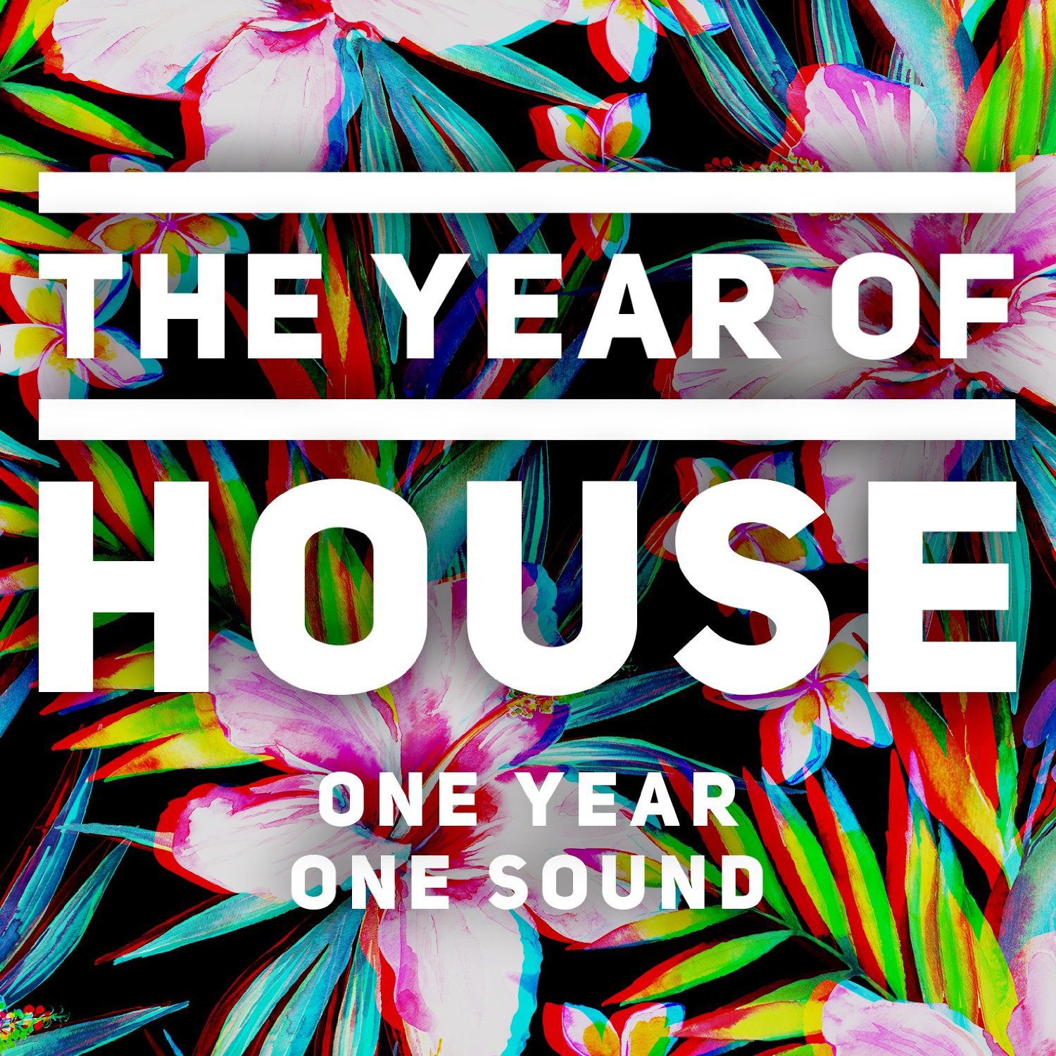 Various Artists - The Year of House CD Album - Used