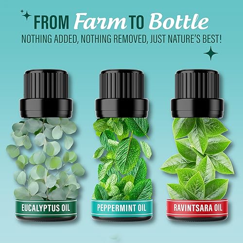 Miniatura 4 de GuruNanda Breathe - Juego de aceites esenciales (paquete de 3 x 0.34 onzas líquidas), aceites difusores 100% puros, naturales y sin diluir para