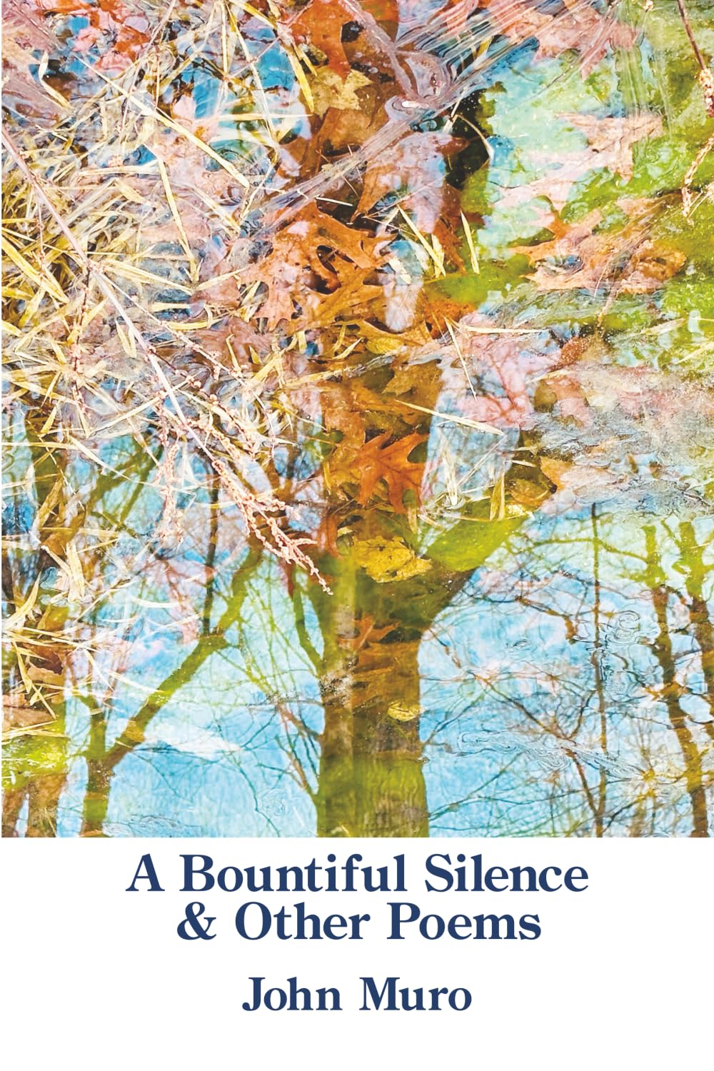 A Bountiful Silence: & Other Poems