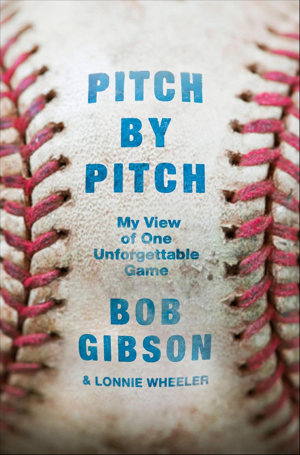 Pitch by Pitch: My View of One Unforgettable Game
