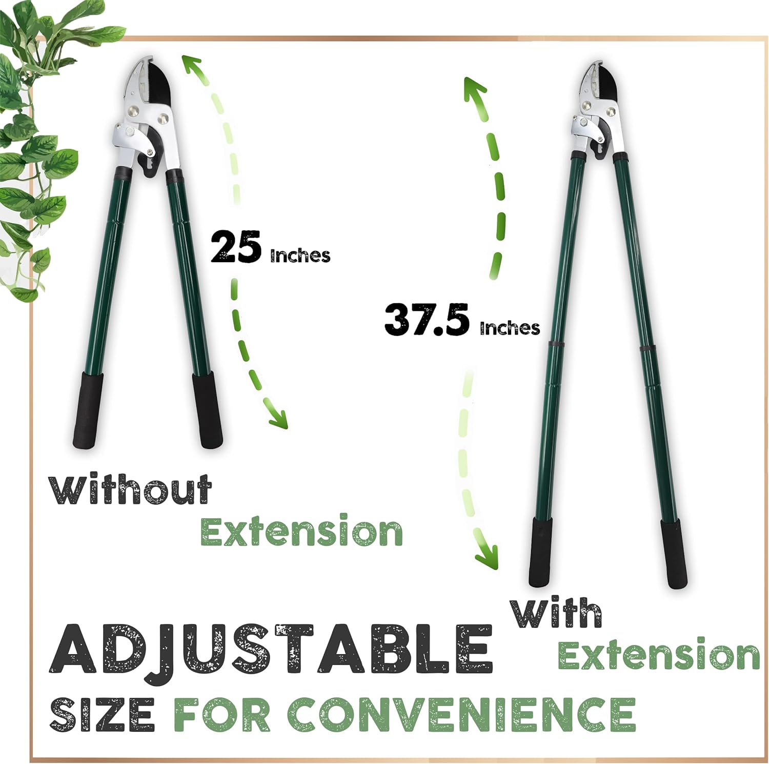 Best Telescopic Tree Loppers Reviews By Wirecutter