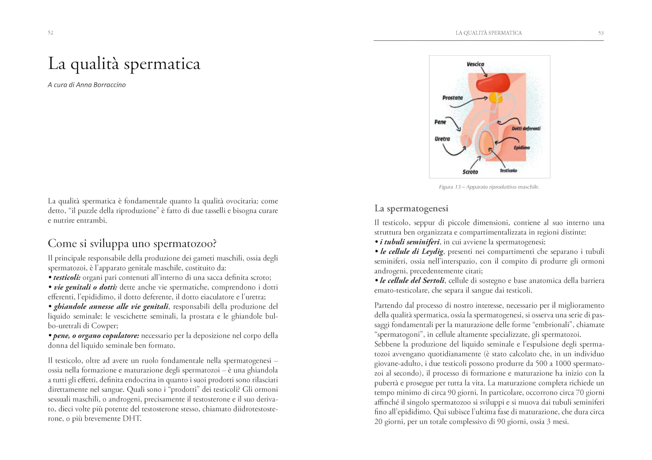 Integriamo la fertilità. Alimenti e supplementi benefici per lei e per lui