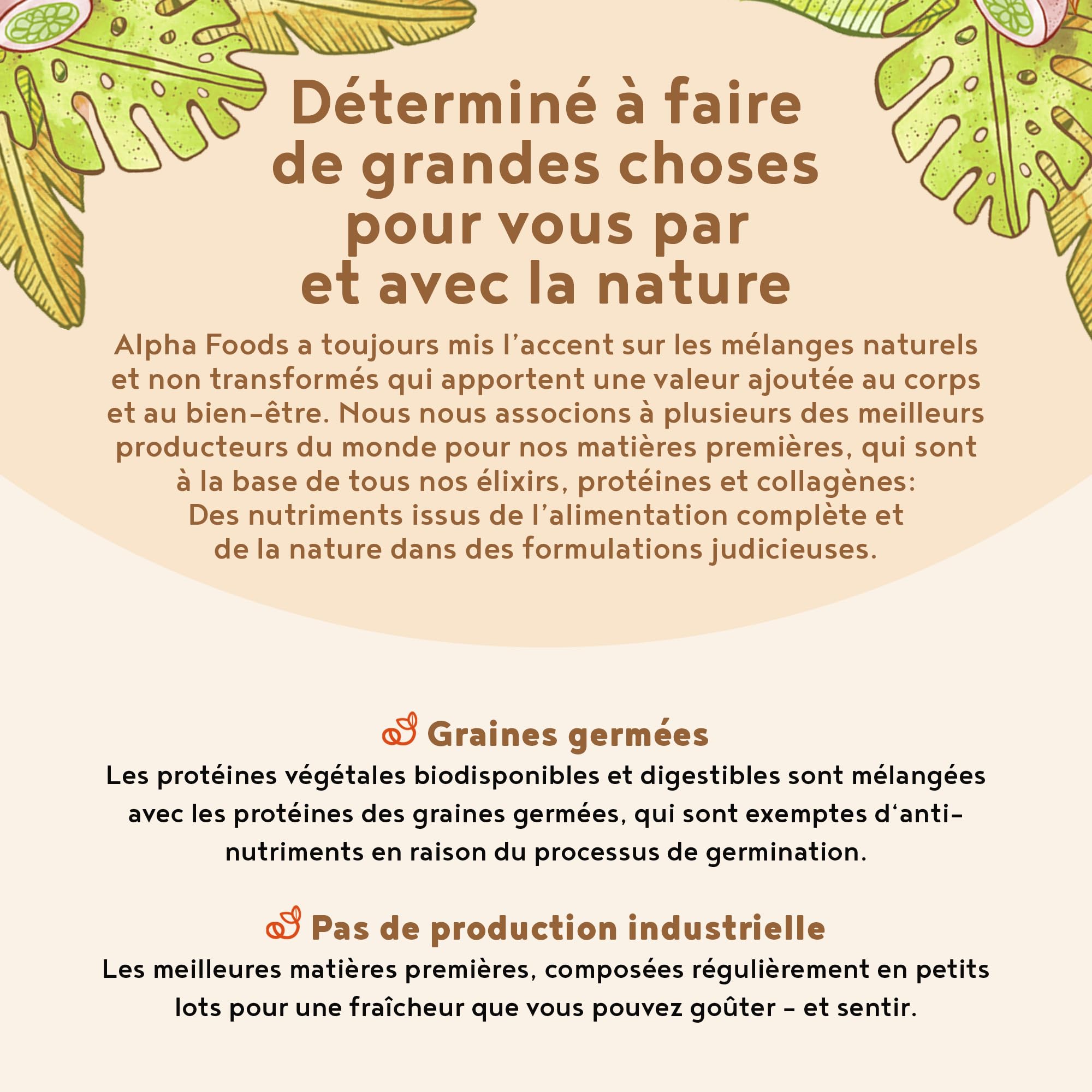 Vegan Proteine en Poudre [600g] | Snickerdoodle | 23g Protein | Protéine Powder de Soja, Riz, Pois & Graines de Tournesol | Pre/Post Workout Proteines Musculation | Shake Protéines | Alpha Foods