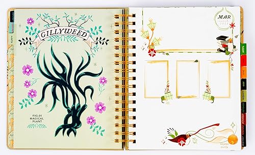Miniatura 4 de Conquest Journals Harry Potter Herbology - Agenda semanal fechada 2024, formato vertical, cubierta de tablero de libro envuelta, encuadernado en