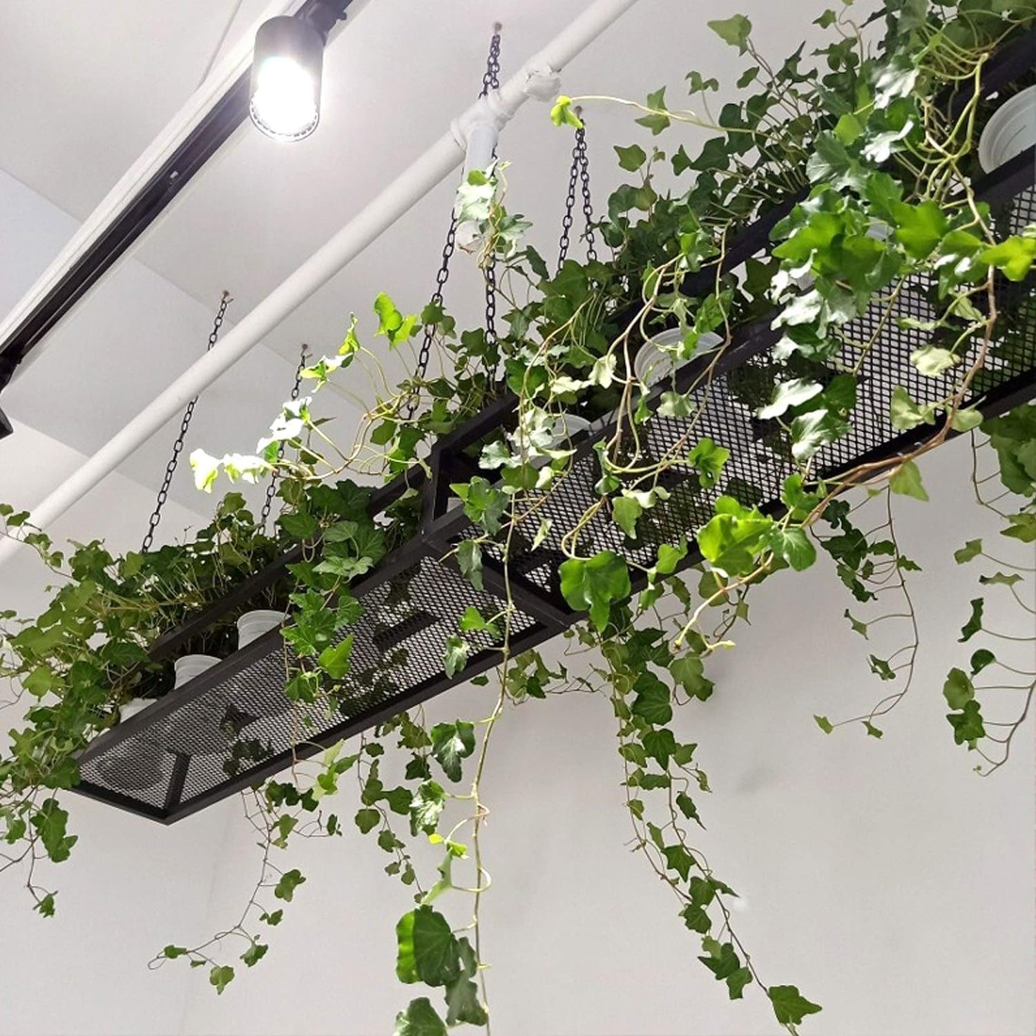 Deckenregal Hängend Küche kücheninsel Pot Pan Rack Hängende Regale Kreative Decken-blumenständer Kochgeschirr Aufhänger Lagerung for Bar Keller Garage Restaurant, schwarz Metall Eisenrahmen