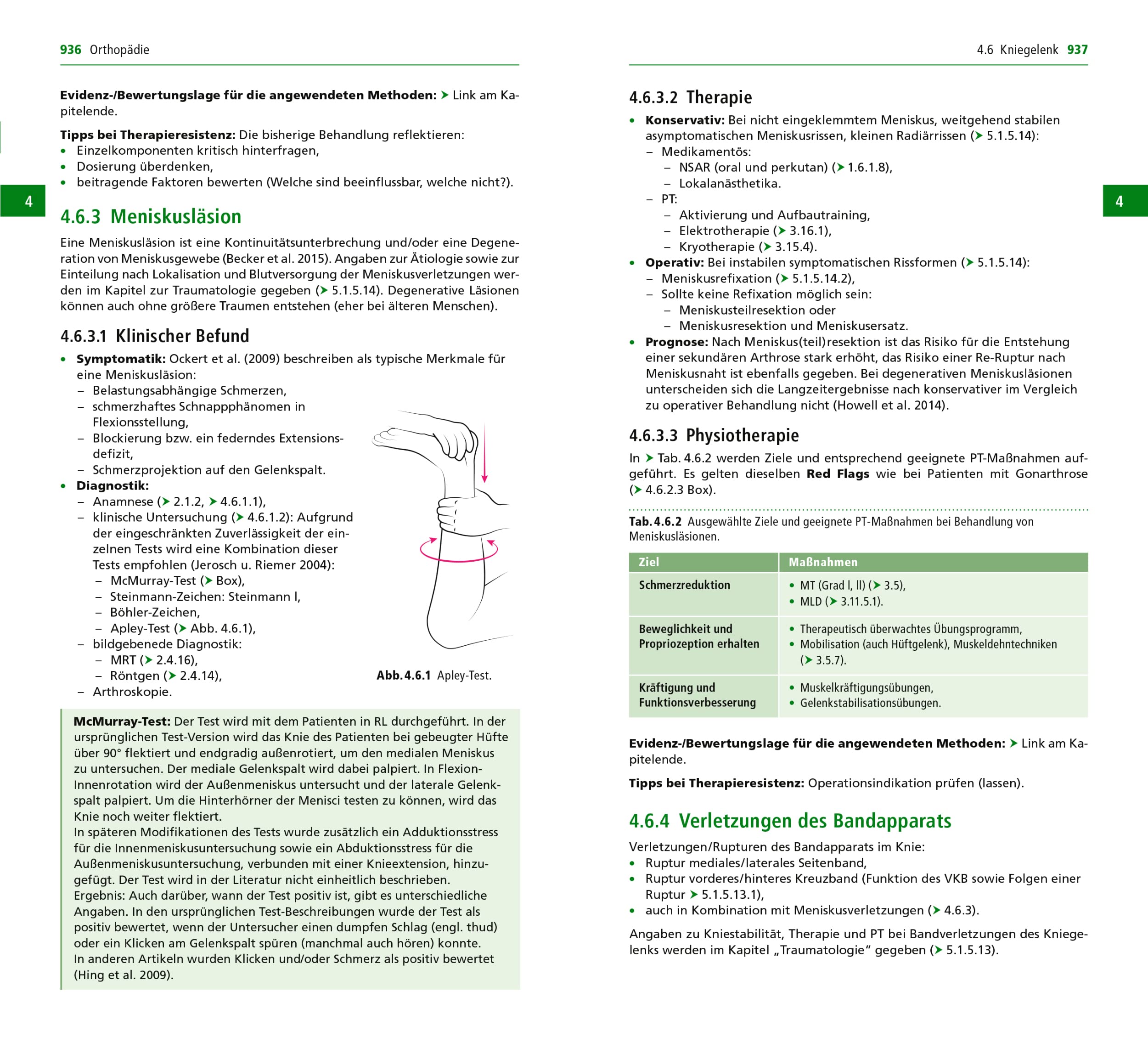 Handbuch Physiotherapie: Umfassend, aktuell, evidenzbasiert, praxisnah