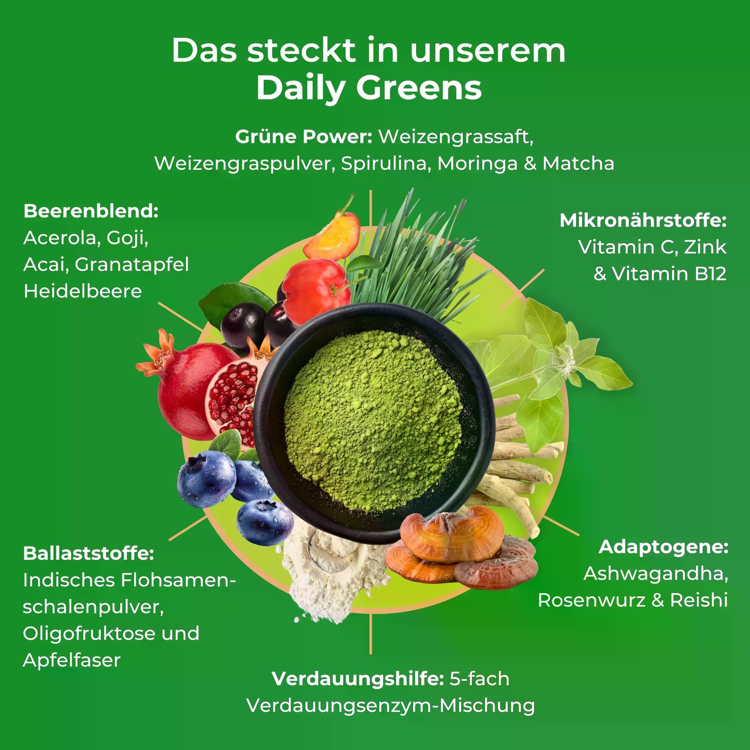 Daily Greens Beere - 25+ Wirkstoffe mit Vitamin C, Zink & B12 | 150 g Pulver für 30 Portionen - Greens, Beeren-Blend, Ballaststoffe, Adaptogene, Probiotika & Enzyme