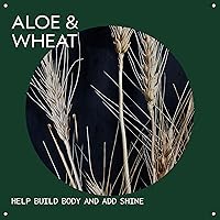 Vista 3 de Aveda Volumizing Hair Tonic Volume Spray for Fine and Medium Hair Types Build Body + Shine With Wheat Amino Acids and Certified Organic Aloe