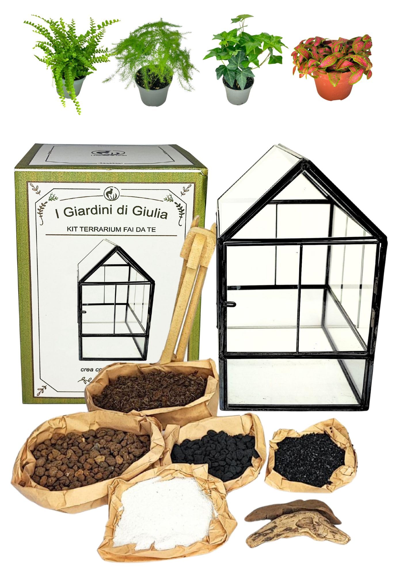 I GIARDINI DI GIULIA - Kit Terrarium Geometrico Fai da Te - Contenitore in Vetro e Ferro con Piantine terriccio e materiali decorativi INCLUSI - I Giardini di Giulia