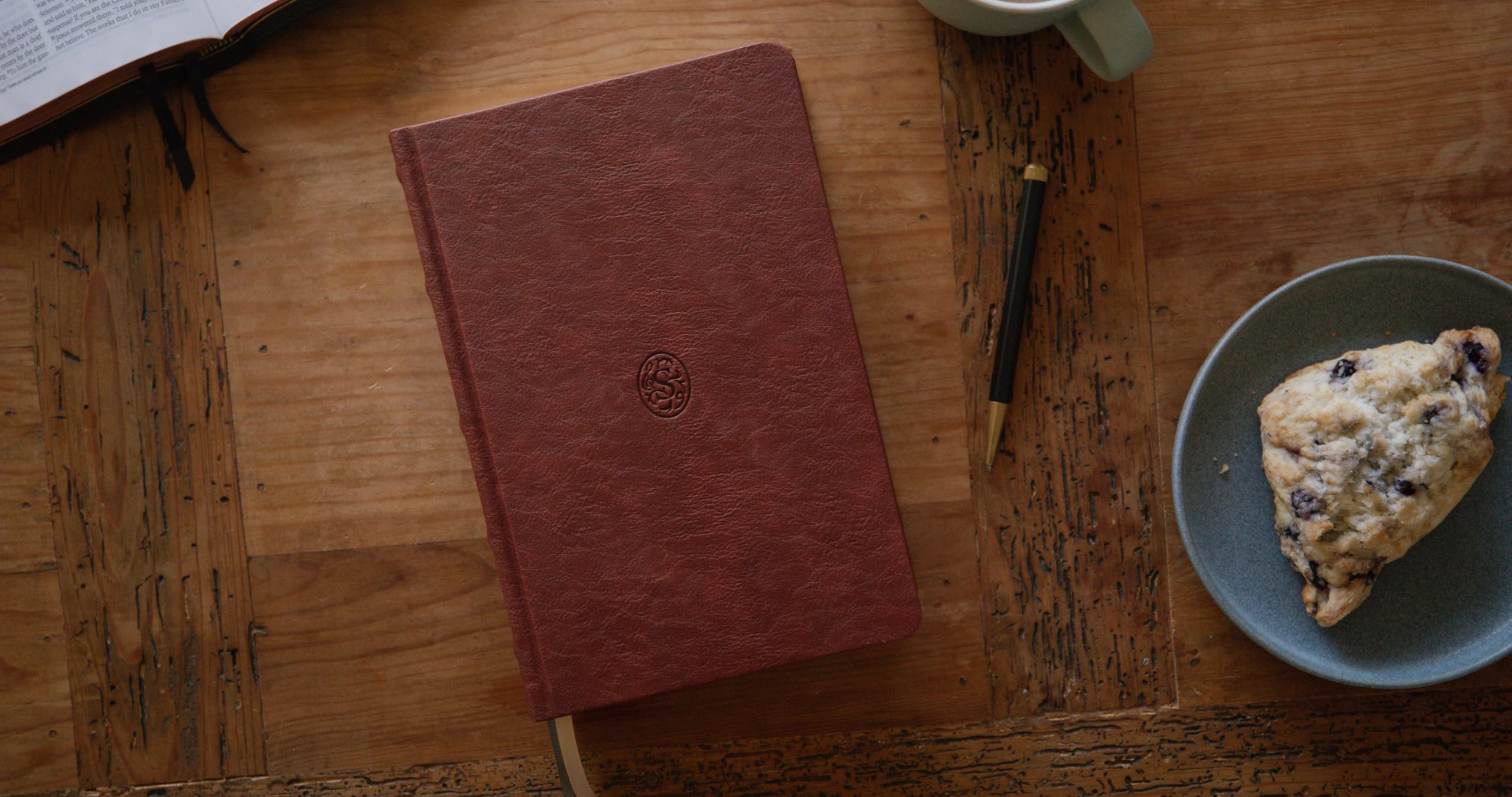 The Sing! Hymnal (Trutone Over Board, Brown)