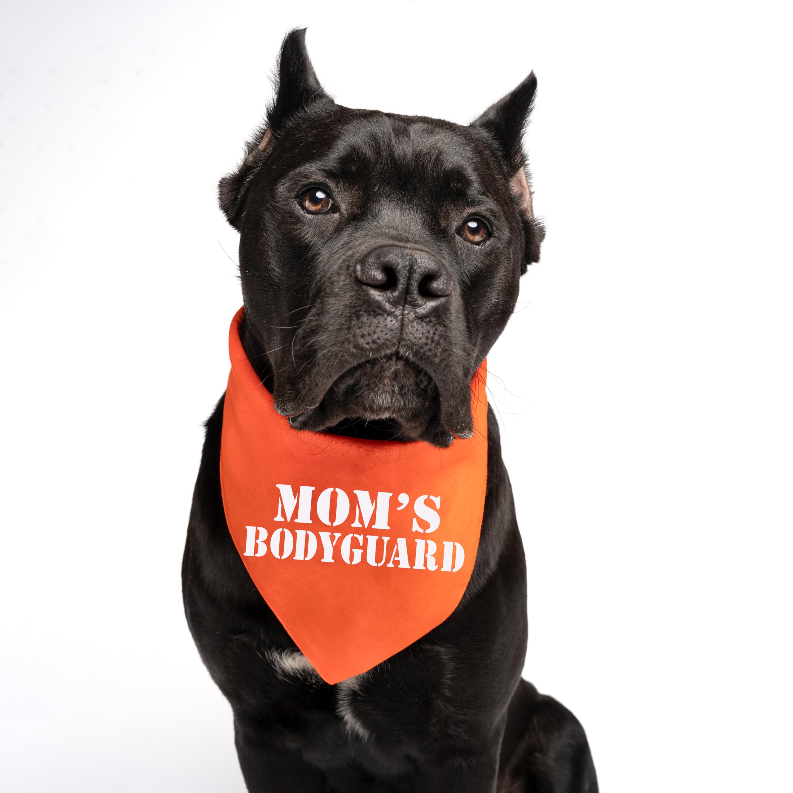 Mom's Bodyguard Dog Bandana | 100% Cotton for Mom | Valentine's Day | Prop Photoshoot |Camo, X-Small (942)