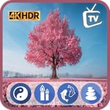 日本の桜TV - 桜の開花時期と予報