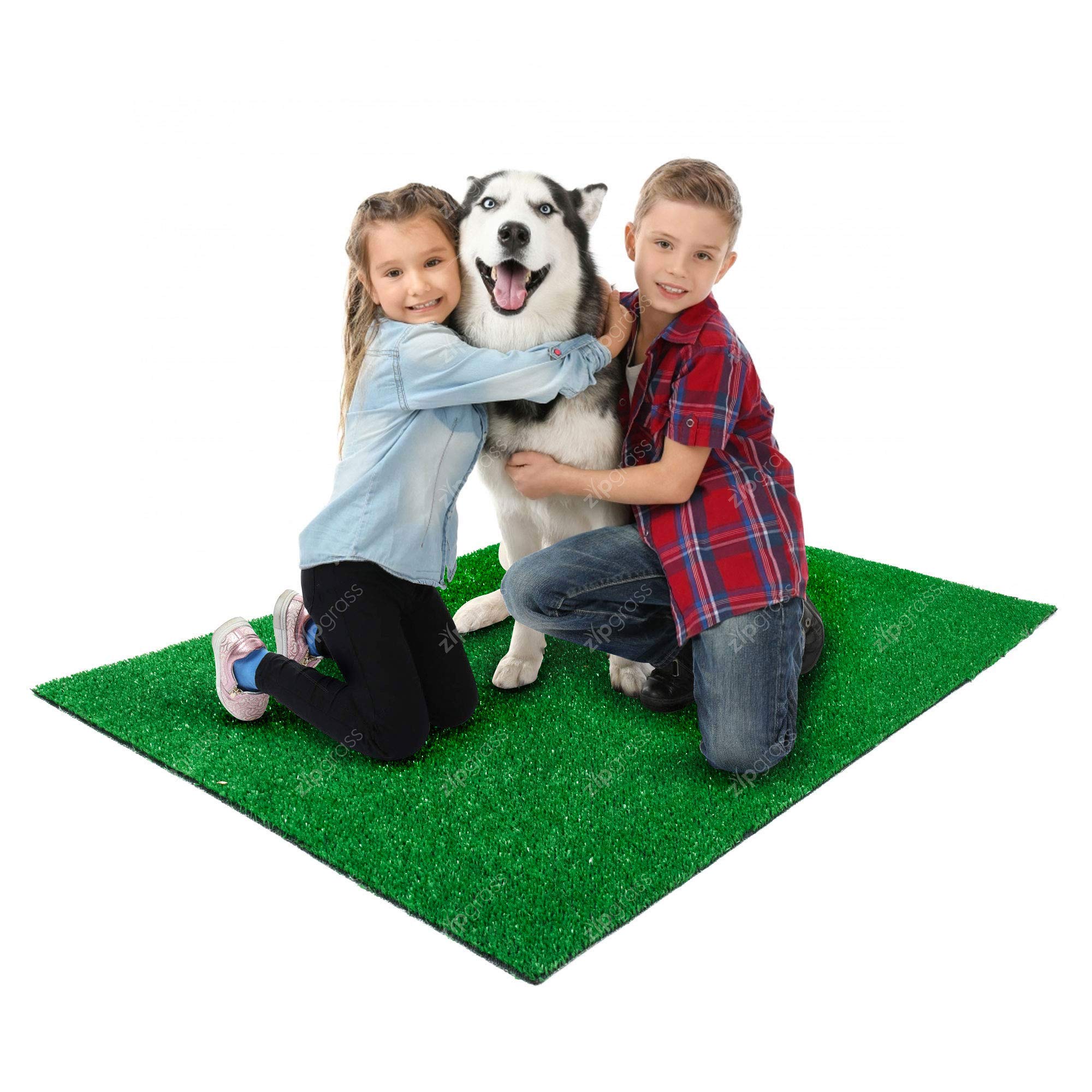 Bishop Artificial Grass Natural and Realistic Looking Fake Lawn Astro Turf Indoor/Outdoor Grass Rug (2m Width, 3m Length)