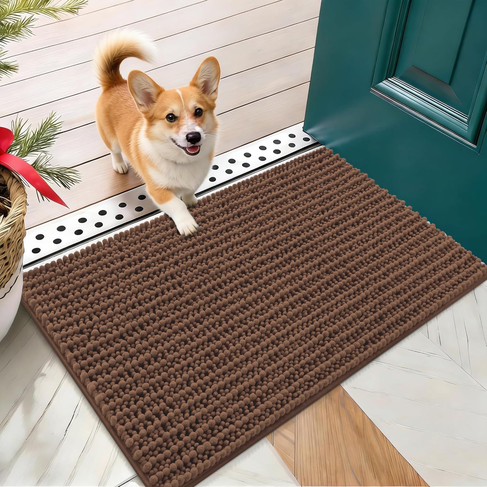 OLANLY Dog Door Mat for Muddy Paws 24x16, Ultra-Absorbent Chenille Mud Mat