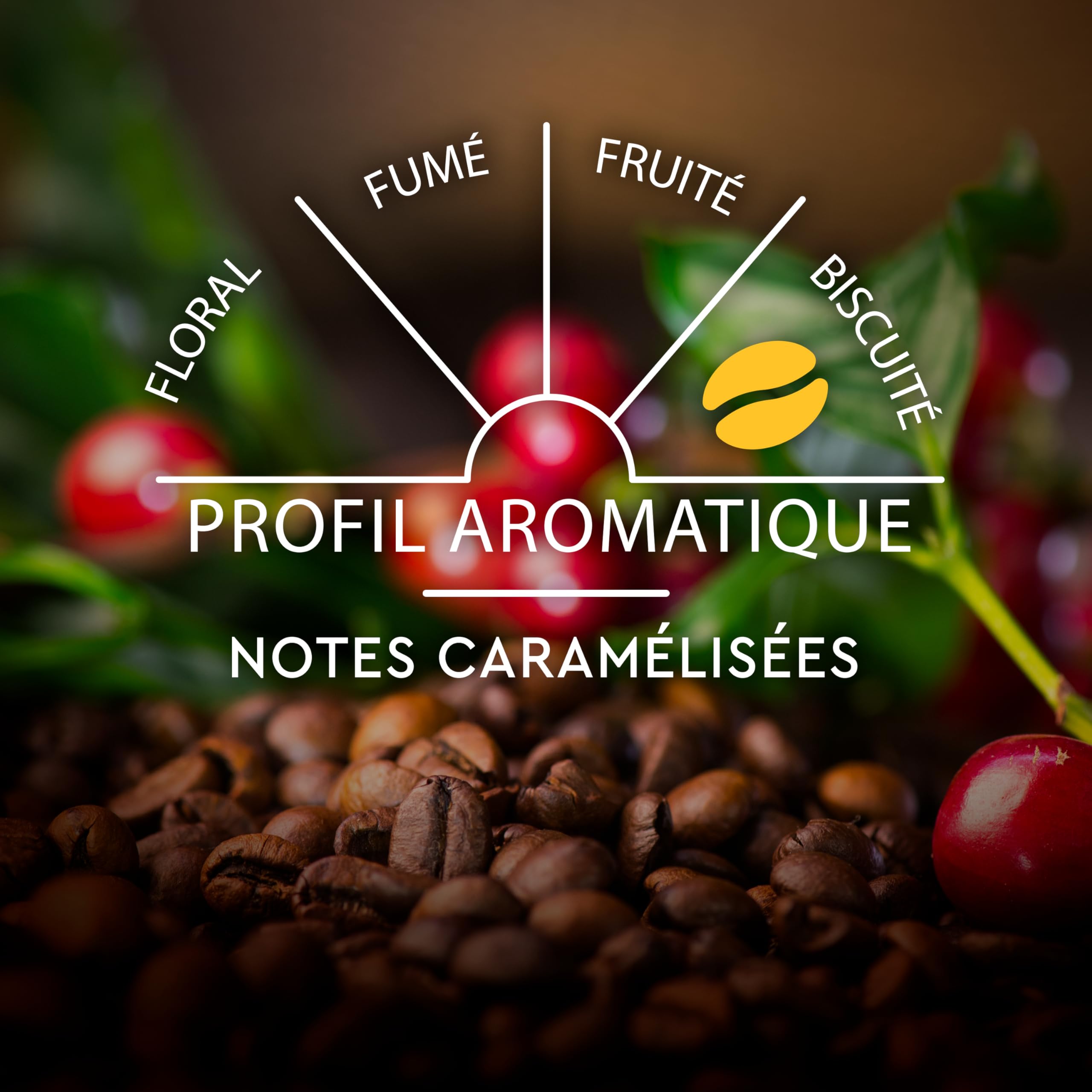 CARTE NOIRE - Capsules de Café Espresso Lungo N°6 Compatibles Nespresso® - Café Arabica - Lot de 4 x 60 Capsules Aluminium - Fabriqué en France