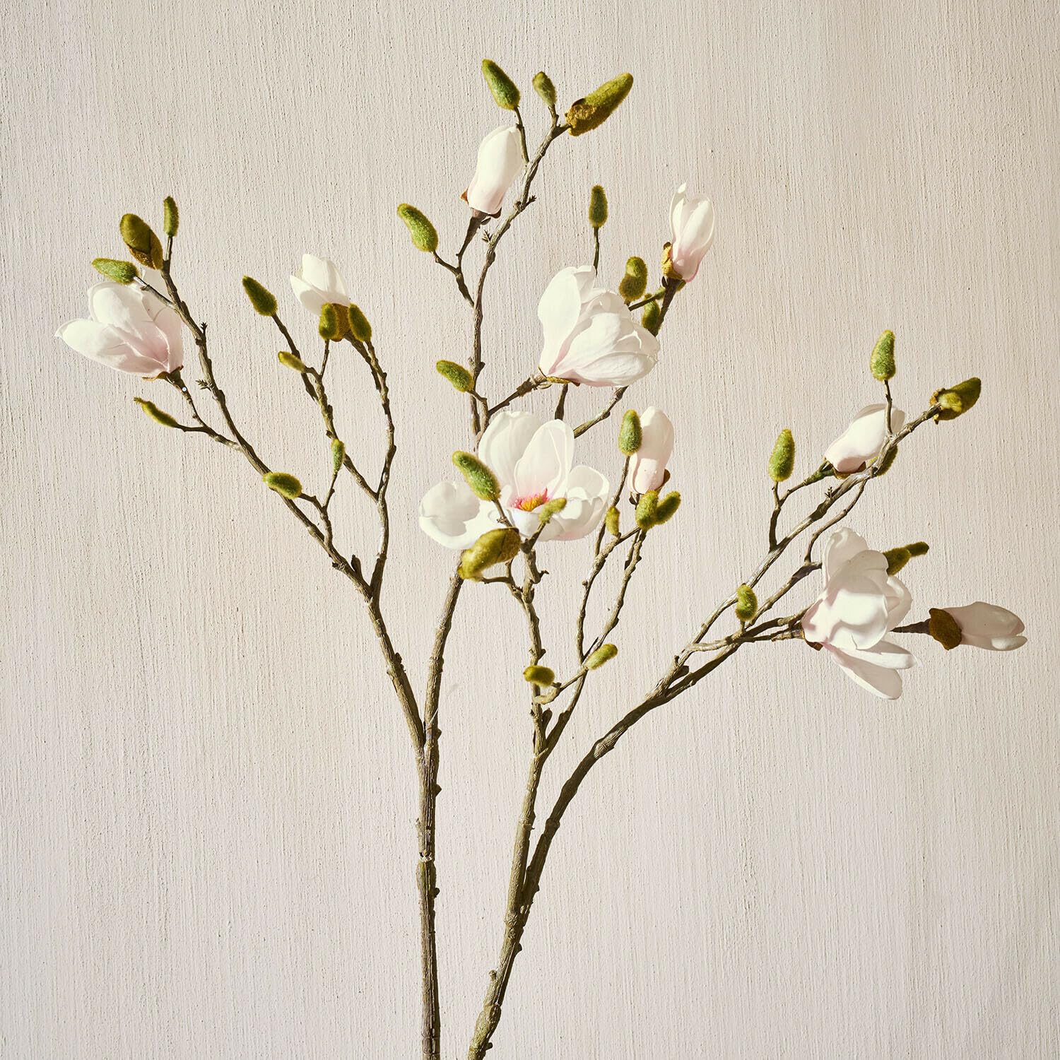 Loberon Deko-Blume 2er Set Aurélines, Creme | Täuschend Echte Magnolienblüten - Formbarer Stil - Detailreich Gearbeitet - Kunstblume - Eisendraht