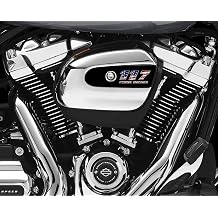 107 American Flag Air Cleaner Cover Insert. Replaces Stock Harley Davidson M8 Air Insert.