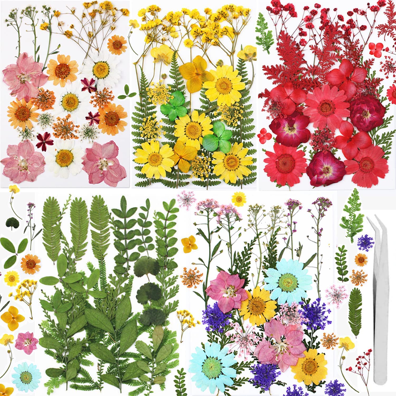 146PCS Real Dried Pressed Flowers and Press Leaves Natural Colorful Handmade Flower Petals for DIY Face Decoration Resin Candle Nail Pendant Crafts Art Floral Decorations (146PCS)