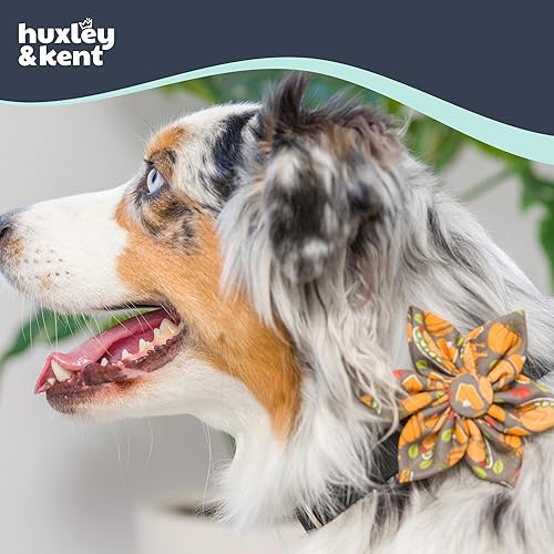Miniatura 4 de Huxley & Kent Molinete para mascotas  Cena de pavo (grande)  Accesorio de collar de otoño para perrosgatos  Accesorio de collar de lazo  Accesorio