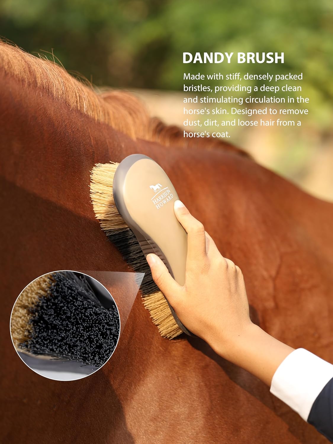Harrison Howard Horse Grooming Brush Set, 7 Essential Grooming Brushes for Daily Horse Care, Body, Mane, Tail & Shedding Use Brown