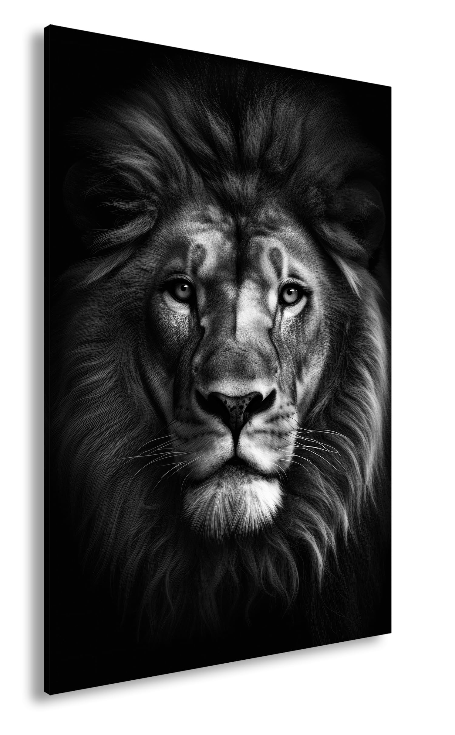 deyoli Leinwandbild Majestätischer Löwenkopf mit prachtvoller Mähne im Dunkeln Format: 120x80cm Effekt: Schwarz&Weiß XXL Kunstdruck Bild auf Keilrahmen/Wandbild/Wohnzimmer Dekoration