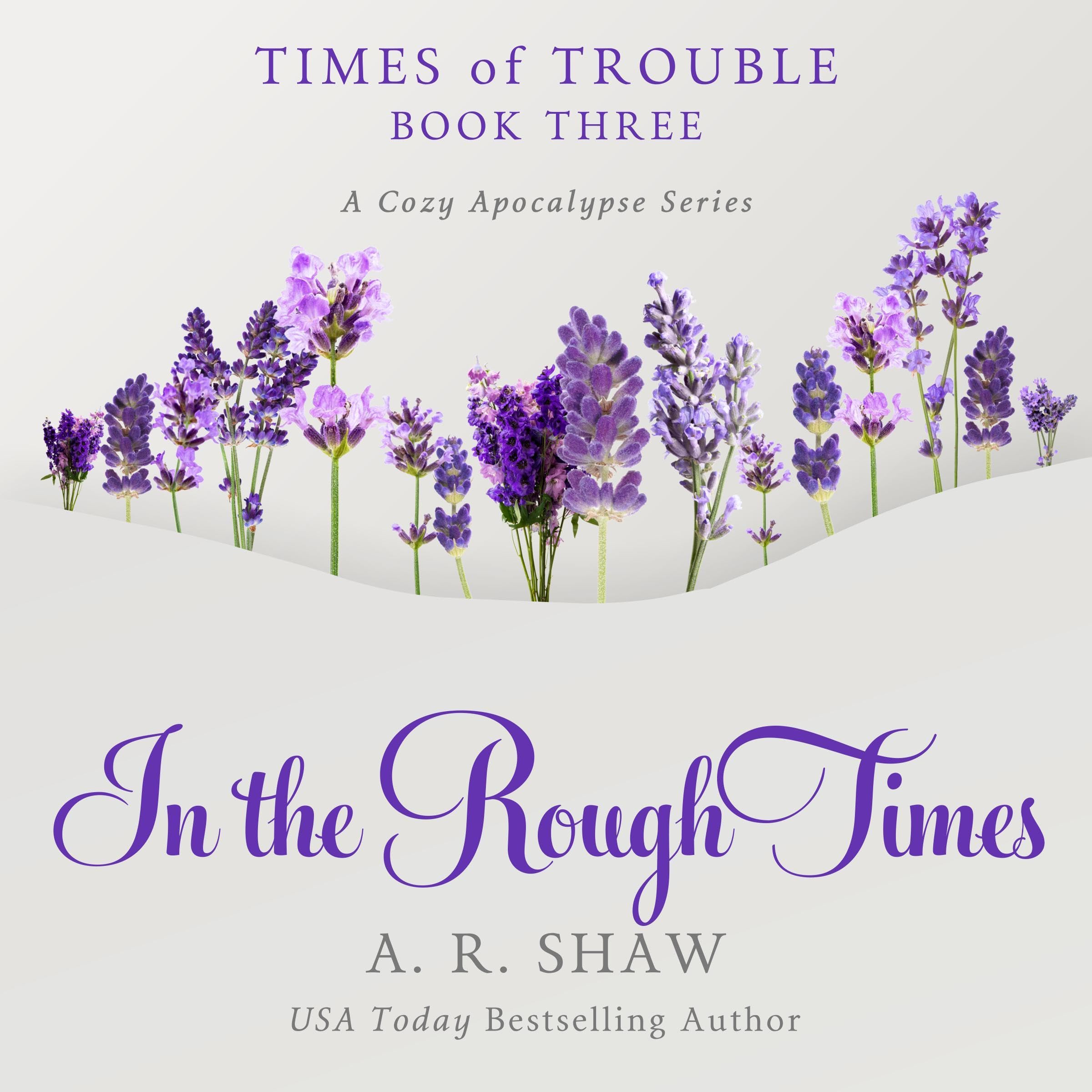 Cover art for In the Rough Times