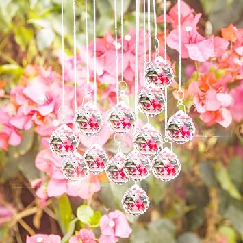 MerryNine Clear Crystal Ball Prism with 20 Pcs Metal Rings,10 Pcs Metal Chain Sun Shine Catcher Rainbow Pendants Maker, Hanging Crystals Prisms for Windows, for Feng Shui, for Gift 0.8"/20mm 20Pack