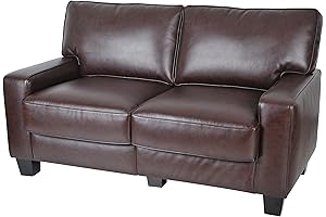 Serta Palisades Leather Love Seat Sofa: Comfort and Style for Small Spaces