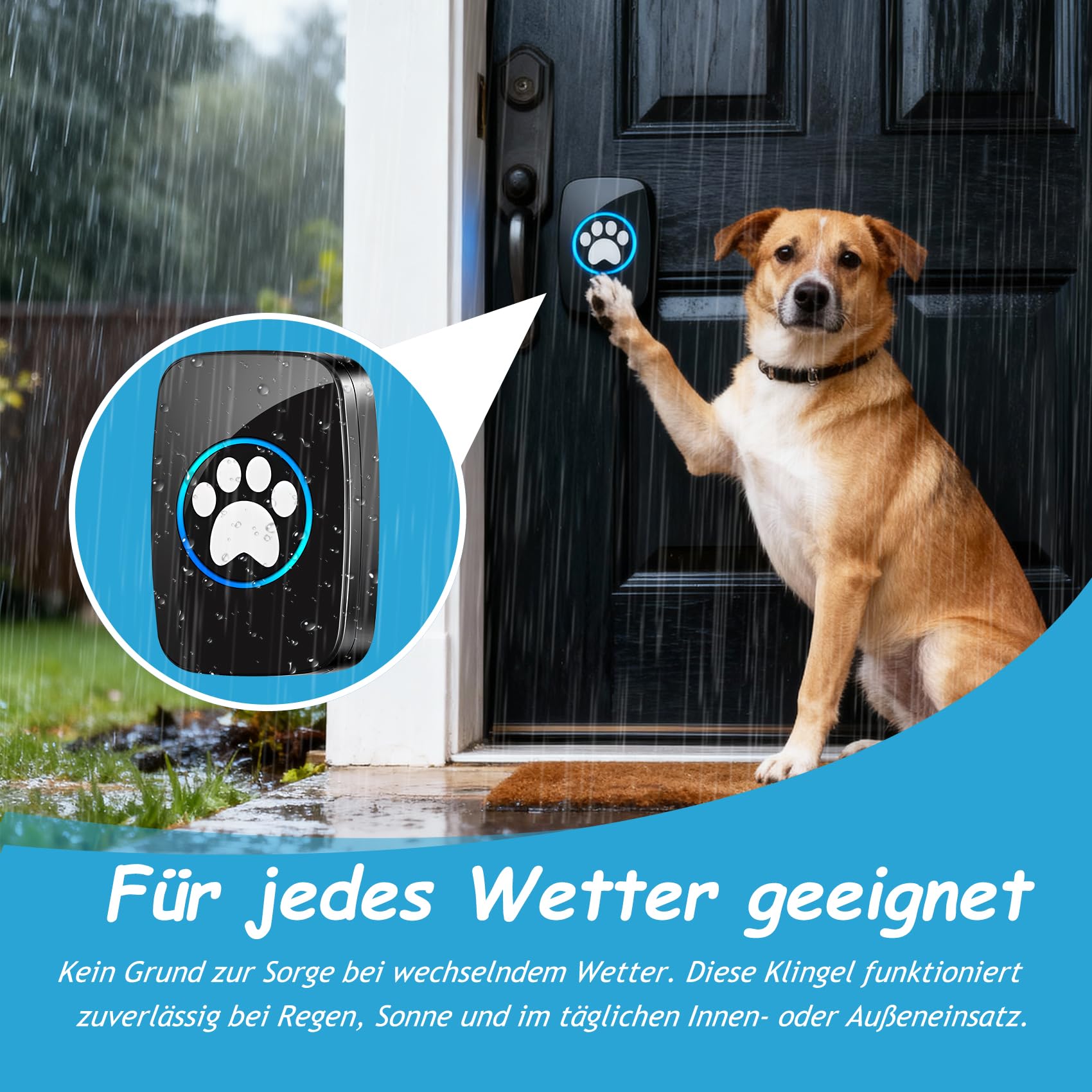 A10 Katzenklingel & Hundeklingel – Kabellose Türklingel, 300 m, LED, 60 Melodien, Wasserdicht, Buzzer Hund, Katzenglocke, Katzen Klingel Tür Außenbereich (1 Klingeltaster + 1 Empfänger)