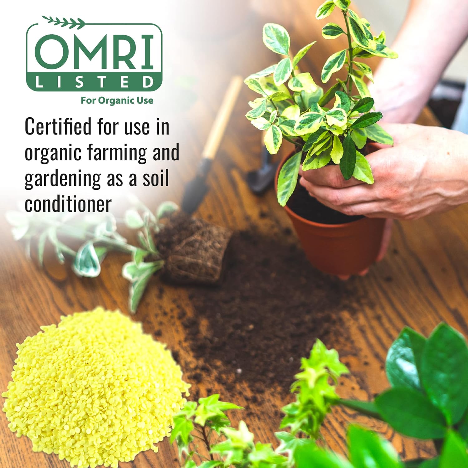DL Wholesale Sulfur Bag 2lb Organic Plant Fertilizer, Garden Planting Soil Food for Vegetable Garden, Succulents, OMRI Certified