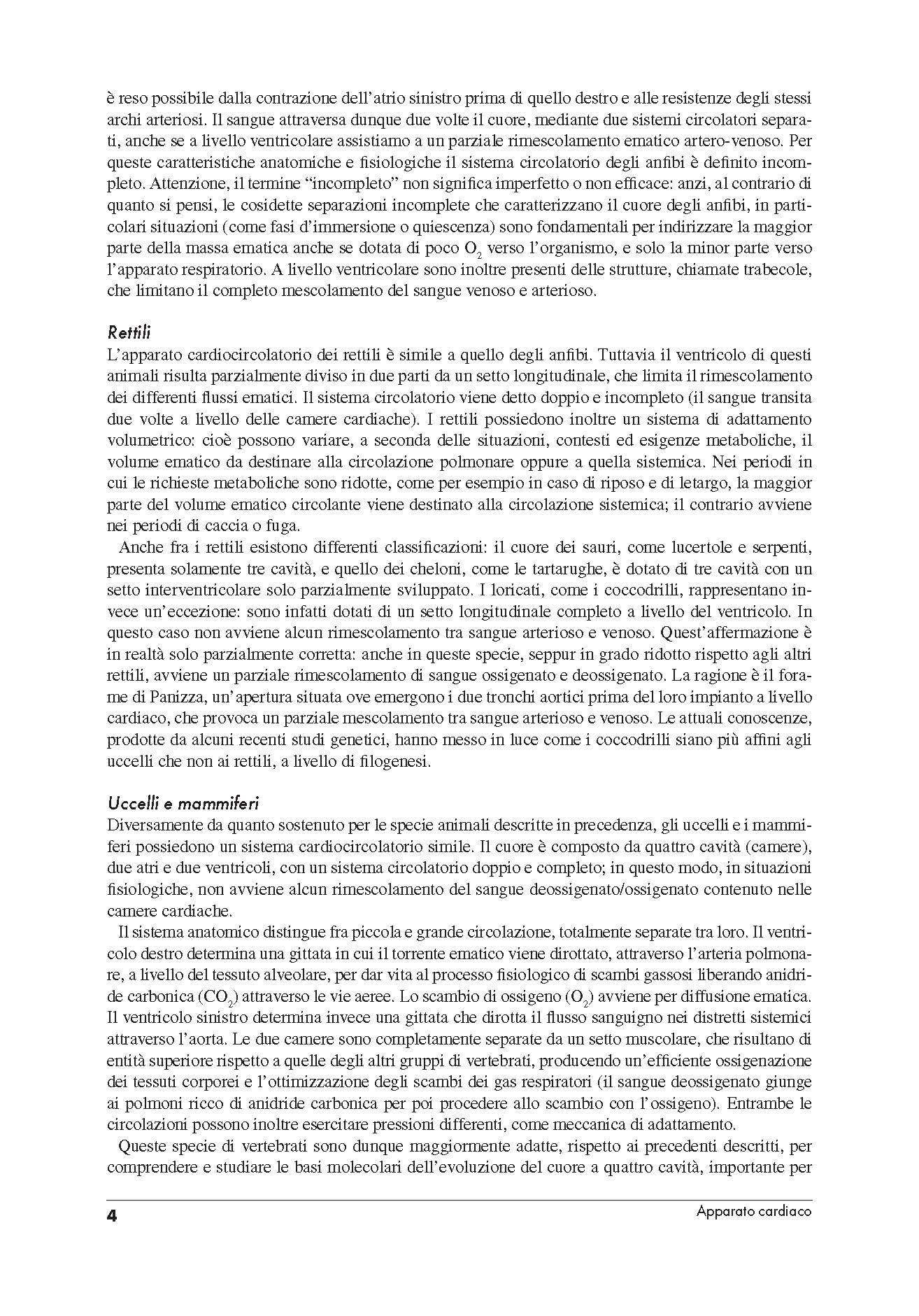 Nursing in cardiologia e cardiochirurgia. Evidenze scientifiche, approccio metodologico clinico e applicato